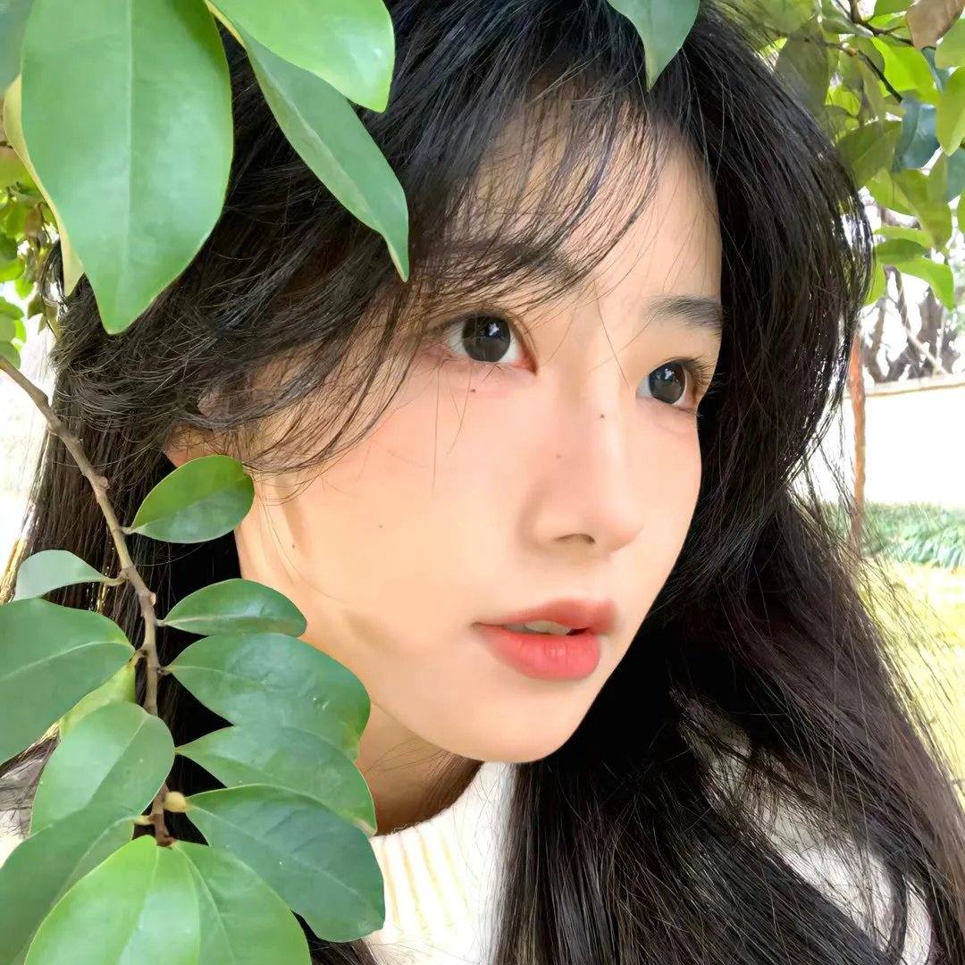 亚历克西纳之谜